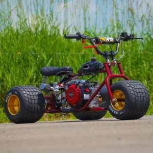 Royal Gold Rim Mini Trike