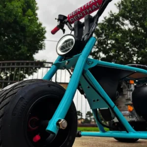 Tiffany Blue Trike RCF - Image 2